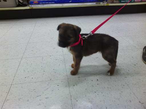 Pet Supply Store «PetSmart», reviews and photos, 1297 Promenade Pl, Eagan, MN 55121, USA