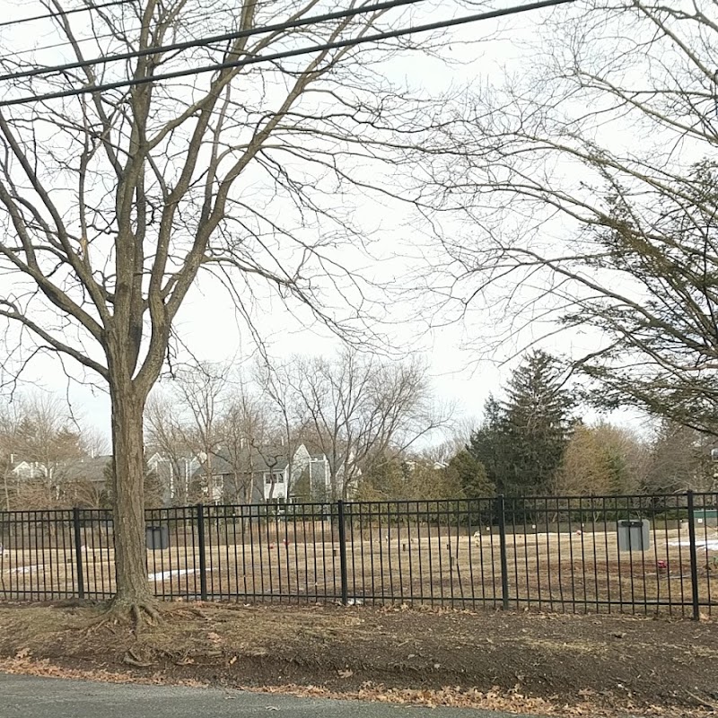 Mt Carmel Cemetery