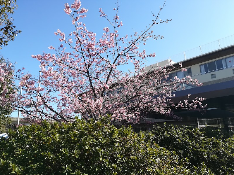 介護老人保健施設 茅ヶ崎浜之郷