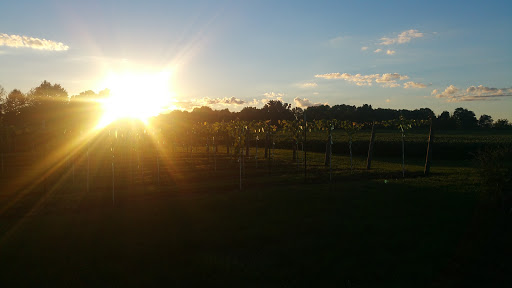 Winery «At The Barn Winery», reviews and photos, 4152 N Dearborn Rd, Lawrenceburg, IN 47025, USA