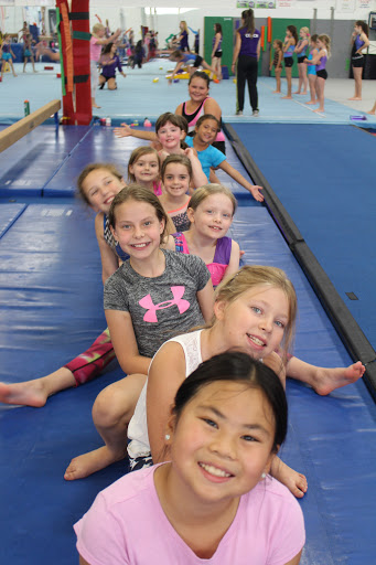 Gymnastics Center «Viking Gymnastics Club», reviews and photos, 7779 N Caldwell Ave, Niles, IL 60714, USA