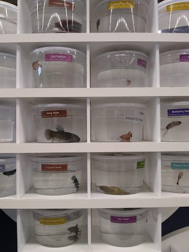 Pet Supply Store «Petco Animal Supplies», reviews and photos, 3454 Palmer Dr #7a, Cameron Park, CA 95682, USA