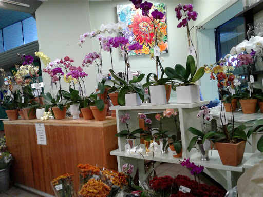 Supermarket «King Kullen», reviews and photos, 2044 Montauk Hwy, Bridgehampton, NY 11932, USA