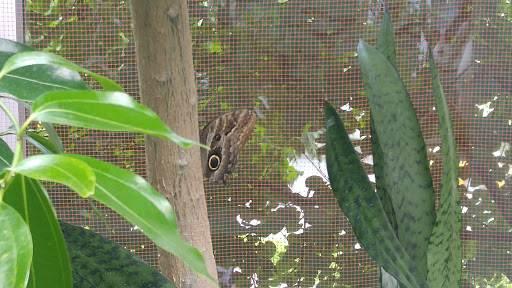 Imax Theater «PACCAR IMAX Theater», reviews and photos, 200 2nd Ave N, Seattle, WA 98109, USA