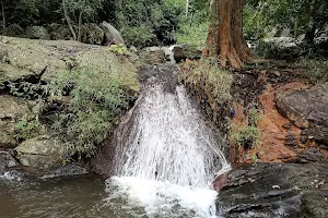 Aanai Maduvu Water Falls image