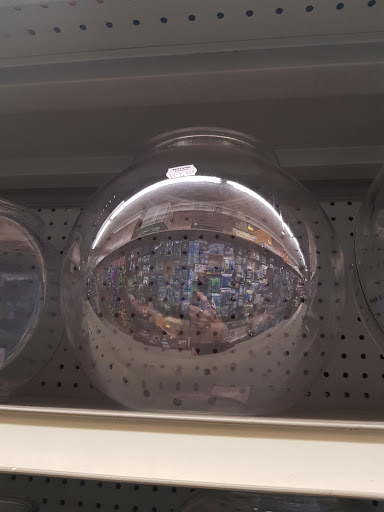 Tropical Fish Store «Petland Discounts - Ridgewood», reviews and photos, 55-52 Myrtle Ave, Queens, NY 11385, USA