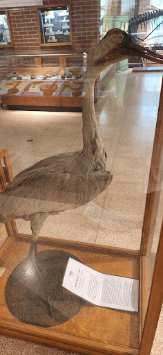 Natural History Museum «Joseph Moore Museum», reviews and photos, 801 National Rd W, Richmond, IN 47374, USA