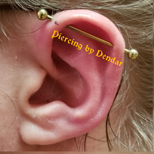 Explore cool full sleeve tattoo ideas, creative tattoo ideas in Frederick, available at Piercings by Dendar