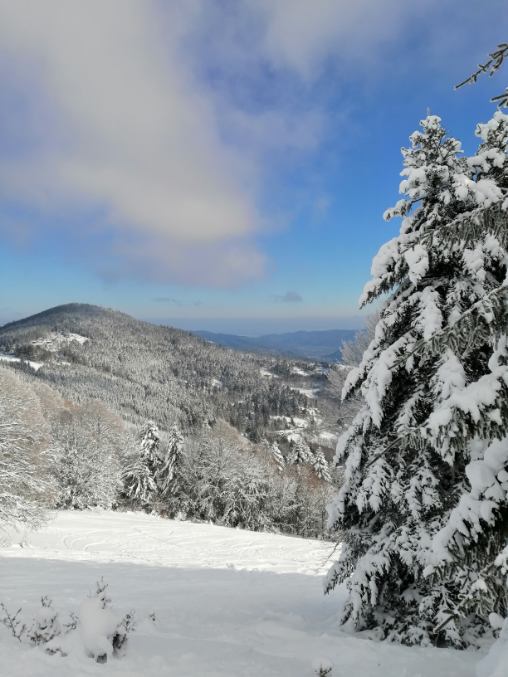 Photo n° 1 de l'avis de kowolik.a fait le 10/01/2021 à 21:49