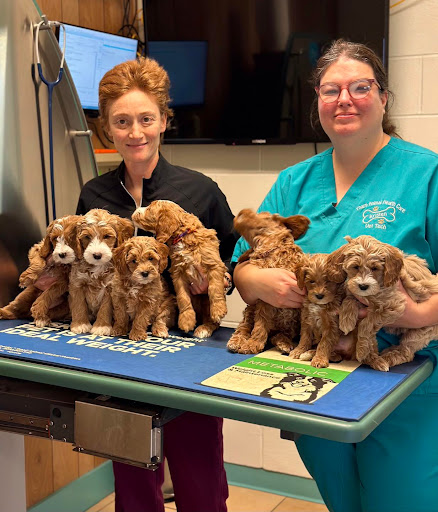 Tharp Animal Health Care Center