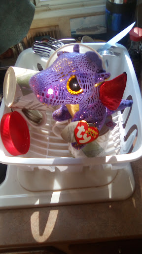 Craft Store «Michaels», reviews and photos, 2500 W International Speedway Blvd, Daytona Beach, FL 32114, USA