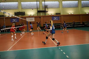 Police Volleyball Club Olymp Praha, o.s. image