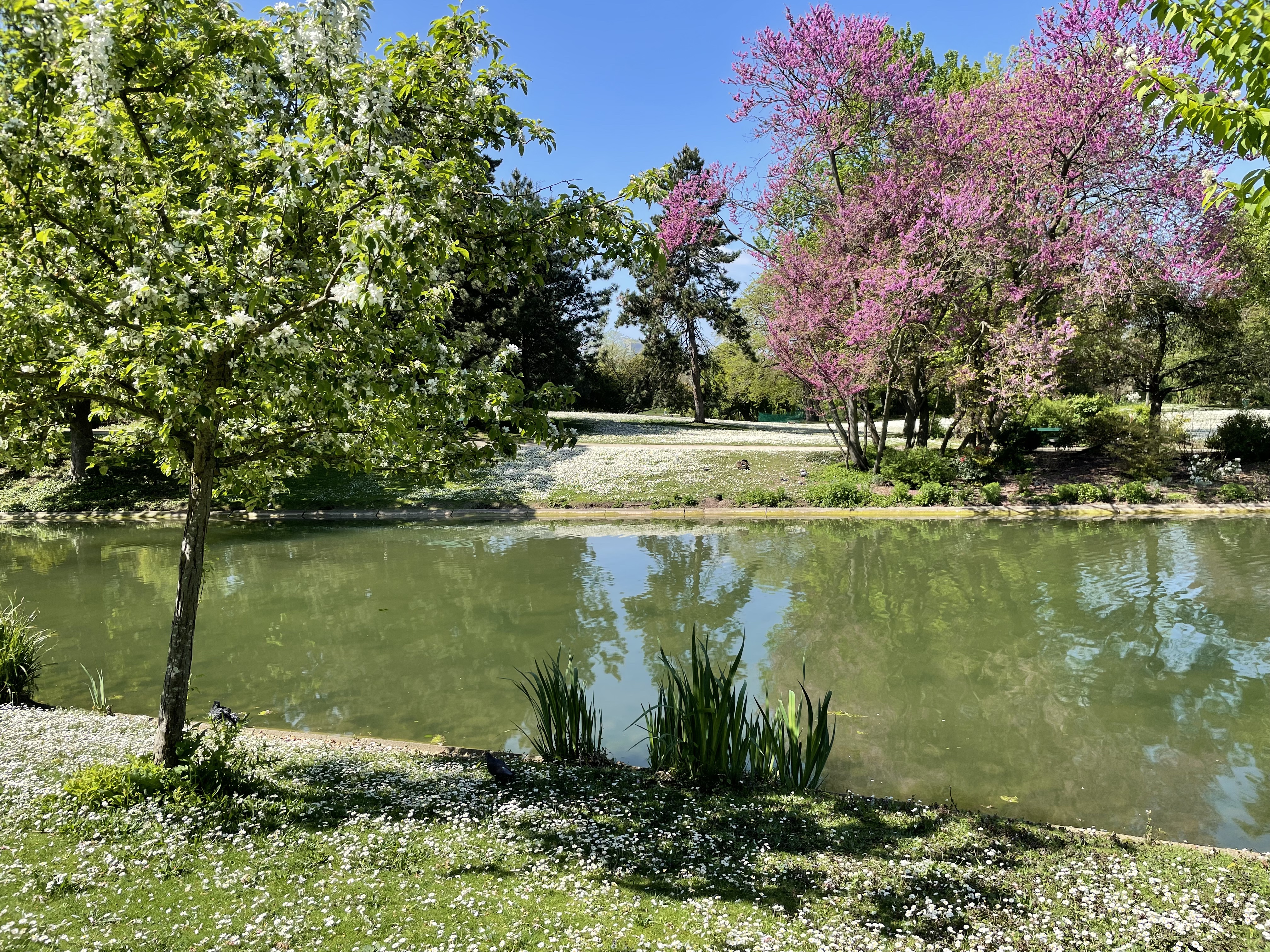 Photo n° 5 de l'avis de Clau.o fait le 02/05/2023 à 16:08