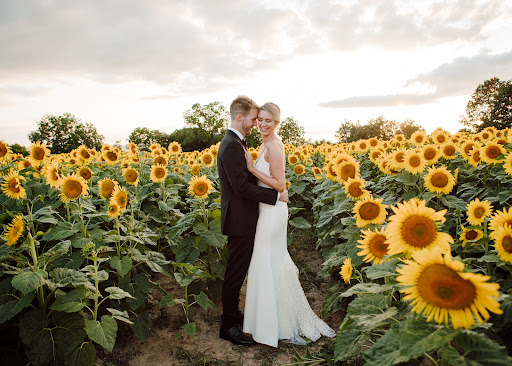 Winery «Treleaven Wines», reviews and photos, 658 Lake Rd, King Ferry, NY 13081, USA