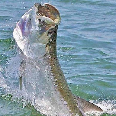 Boca Grande Florida Tarpon Fishing Charters