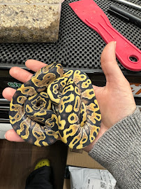 Tatom's Exotic Reptiles (Appointment Required) - Photo 5 - Car repair in Hurst, TX, Fort Worth