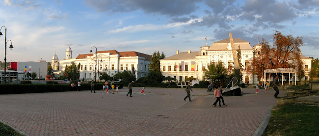 Biblioteca Municipală Teodor Murăşanu - <nil>