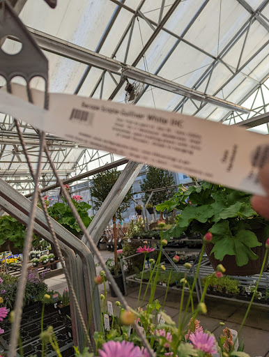 Hardware Store «Dale Hardware Inc», reviews and photos, 3700 Thornton Ave, Fremont, CA 94536, USA