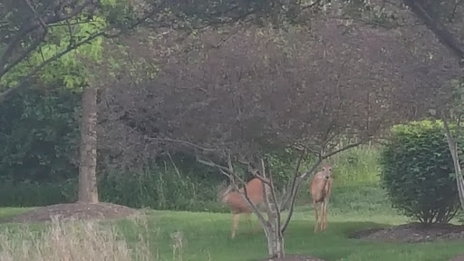 Park «Heritage Oaks Park», reviews and photos, 310 N Fairfield Rd, Hawthorn Woods, IL 60047, USA