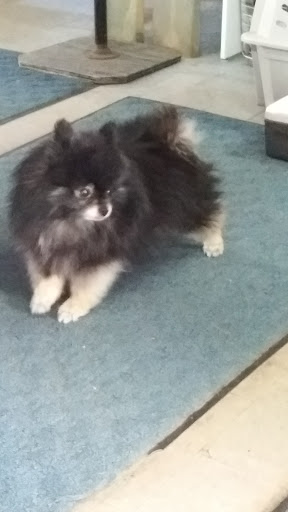 Tropical Fish Store «Marine Oasis», reviews and photos, 5340 W Ridge Rd, Spencerport, NY 14559, USA