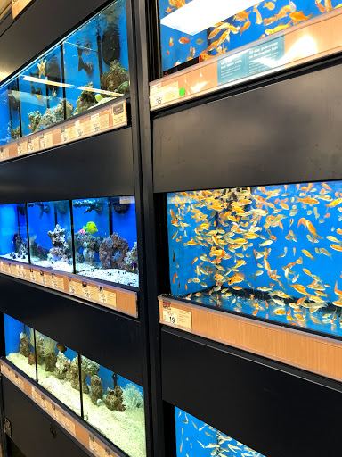 Pet Supply Store «Petco Animal Supplies», reviews and photos, 25451 Horace Harding Expy, Little Neck, NY 11362, USA