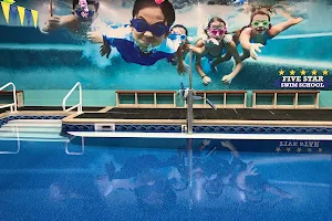Five Star Swim School - Lehigh Valley image