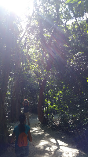 Park «Simpson Park», reviews and photos, 5 SW 17th Rd, Miami, FL 33129, USA