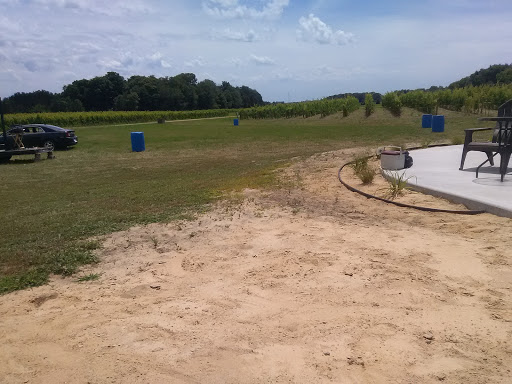 Winery «Cogdal Vineyards», reviews and photos, 7143 107th Ave, South Haven, MI 49090, USA