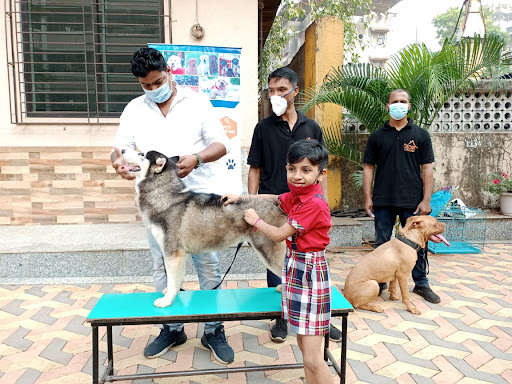 Oscar Pets World (Pets Lodging and Boarding in Navi Mumbai, Puppies for Sale in Navi Mumbai, Dog Training Center in Navi Mumbai)