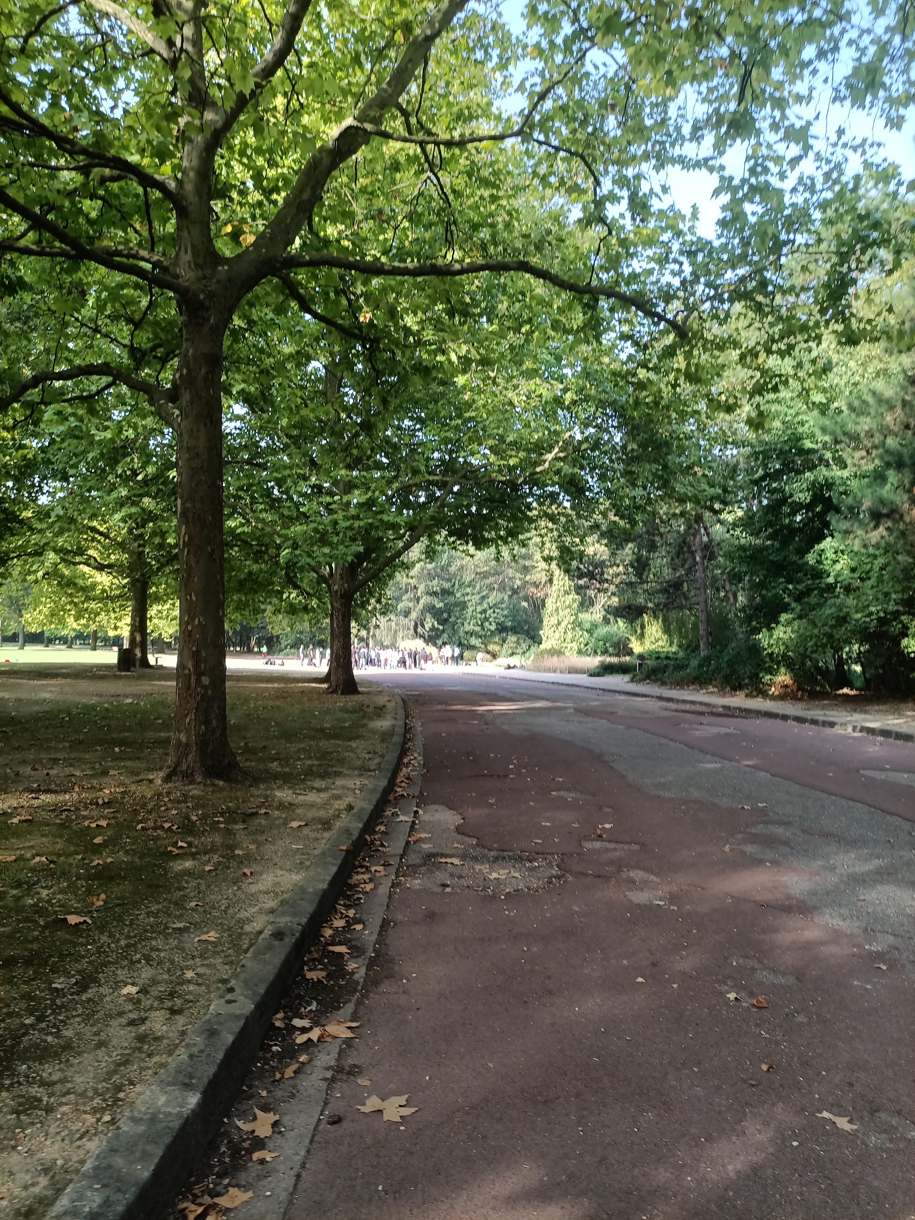 Photo n° 34 de l'avis de ini.e fait le 29/07/2023 à 12:14