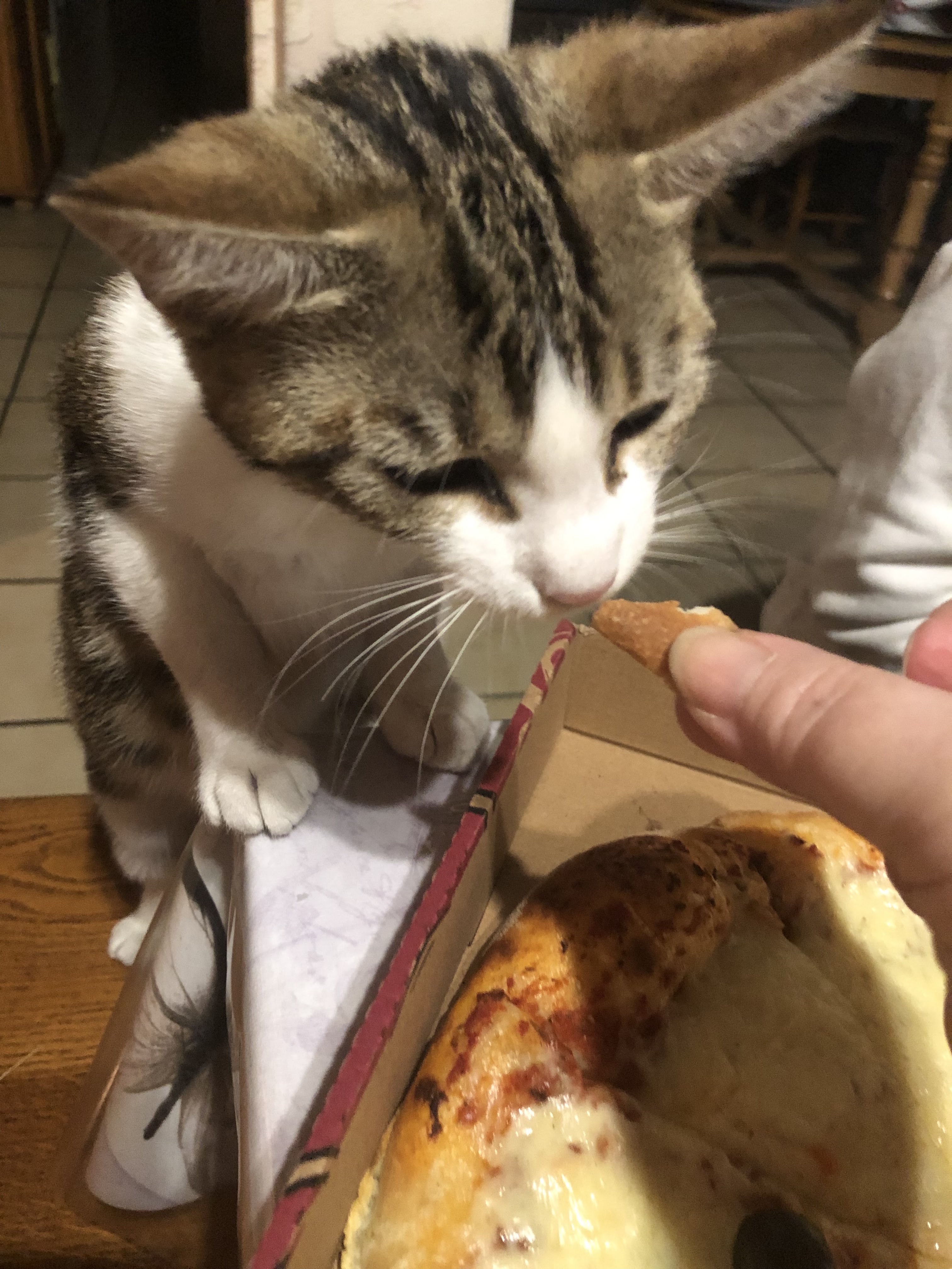 Photo n° 3 de l'avis de Katou.a fait le 21/02/2022 à 14:26