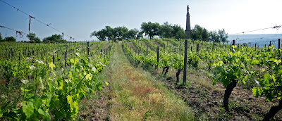 Domaine Verzier à Chavanay