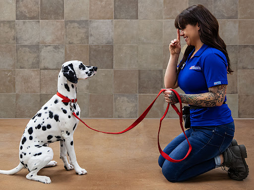 Pet Supply Store «PetSmart», reviews and photos, 828 Arnold Commons Dr, Arnold, MO 63010, USA