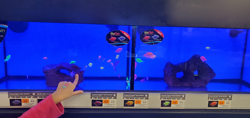 Pet Supply Store «Petco Animal Supplies», reviews and photos, 1333 Centennial Ave, Piscataway Township, NJ 08854, USA