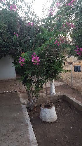 Κρεστος - Κυπαρισσία