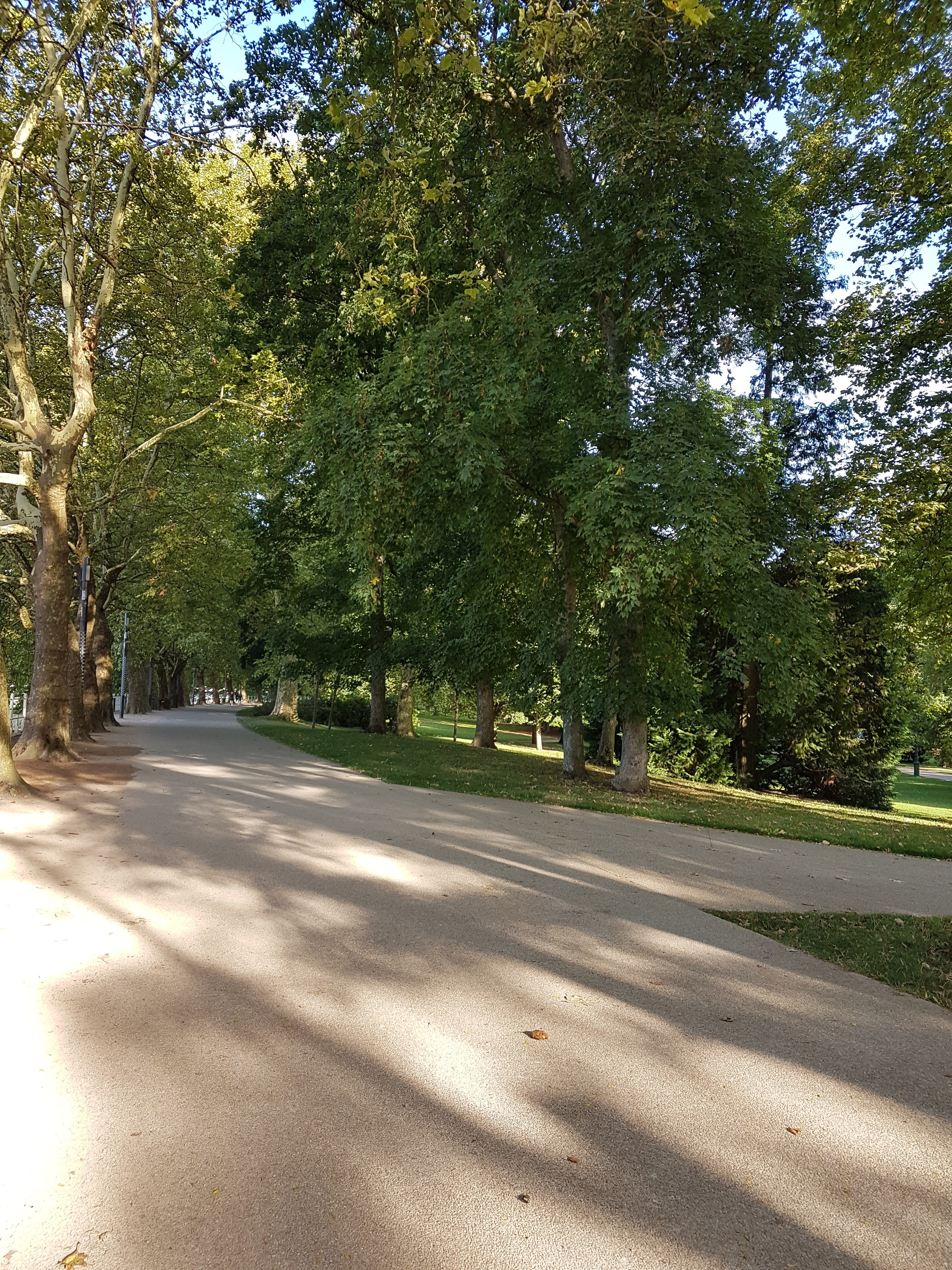 Photo n° 1 de l'avis de Marion.M fait le 13/12/2017 à 14:08