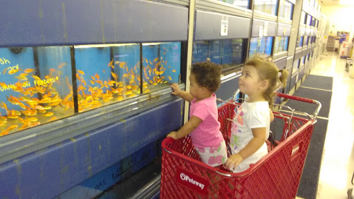 Pet Store «Petsway», reviews and photos, 1717 W Kearney St, Springfield, MO 65803, USA