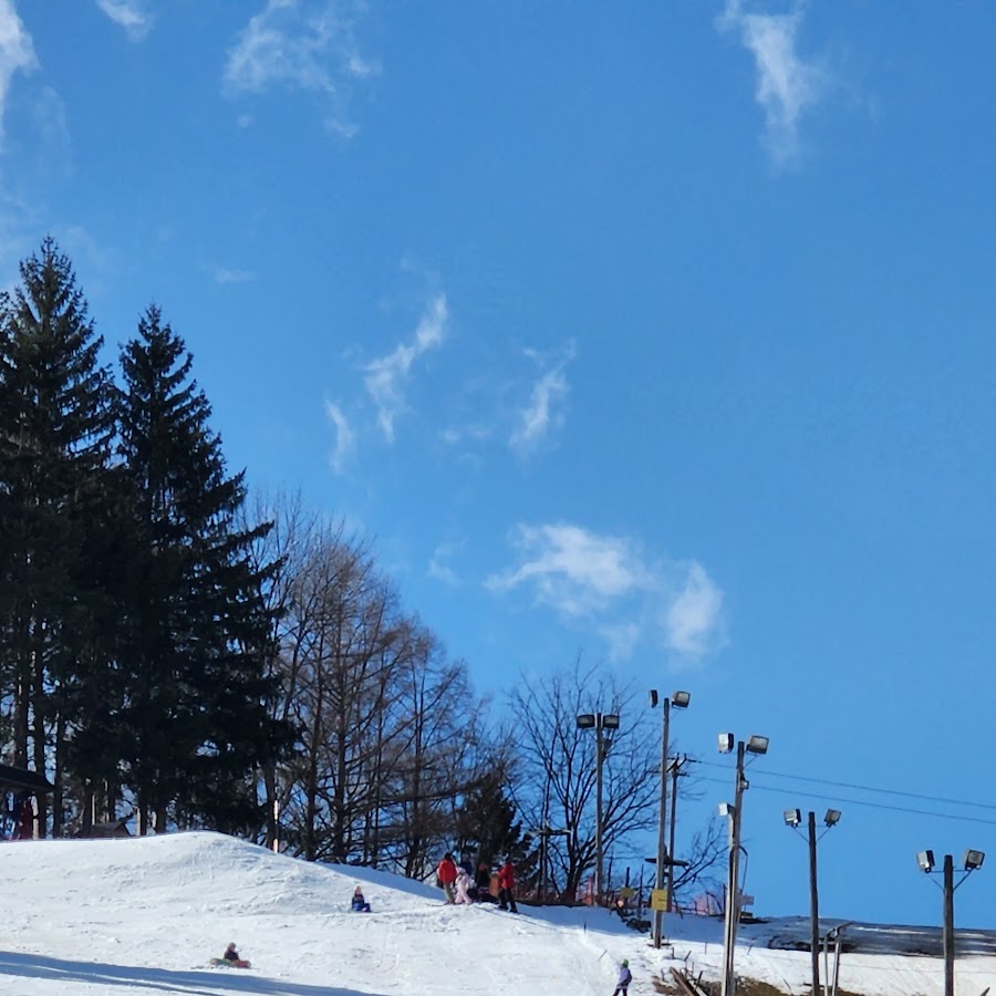 Brantling Ski Slopes Inc