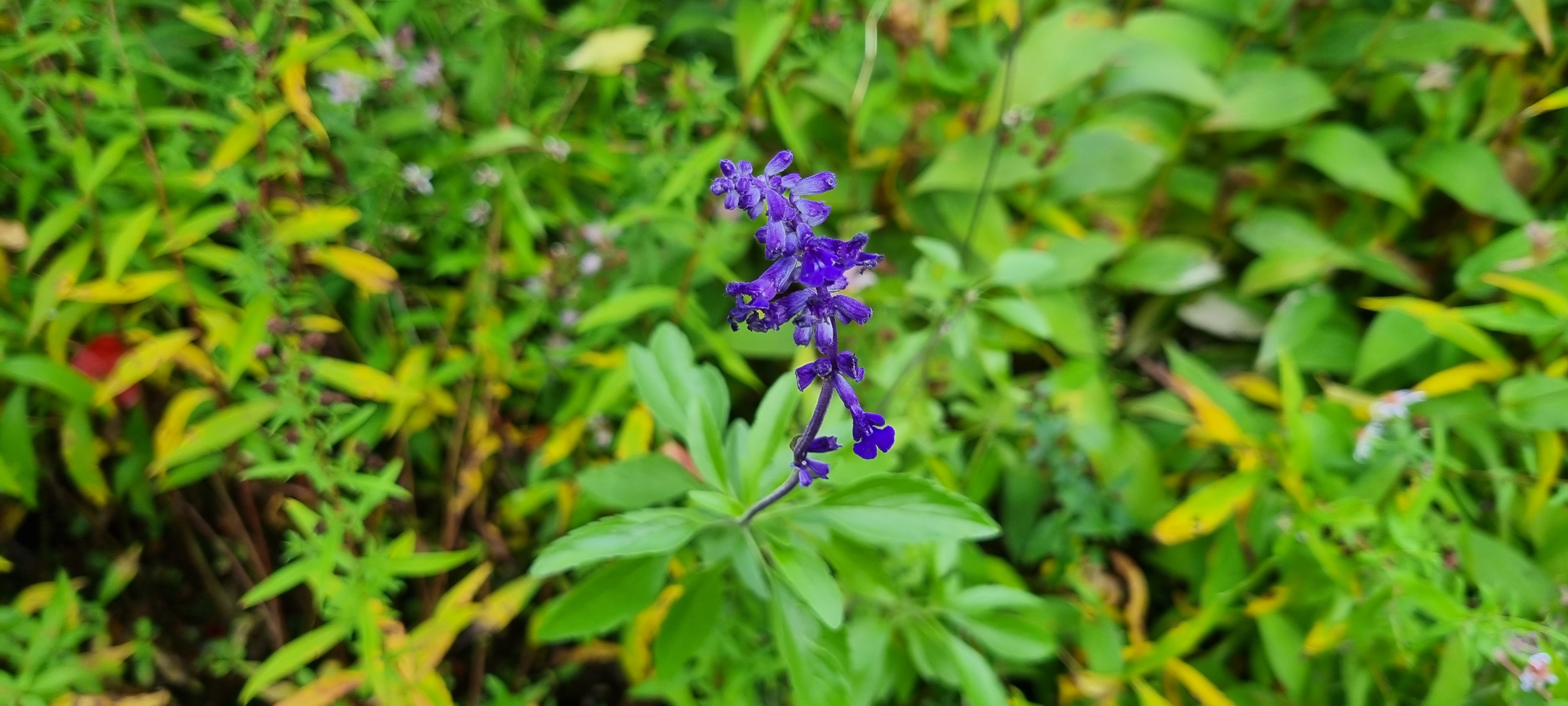 Photo n° 11 de l'avis de lemagicien40. fait le 03/11/2023 à 07:28