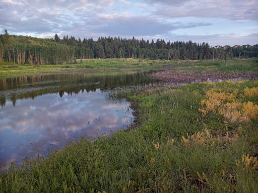 Marshall Springs - Fish Creek Provincial Park