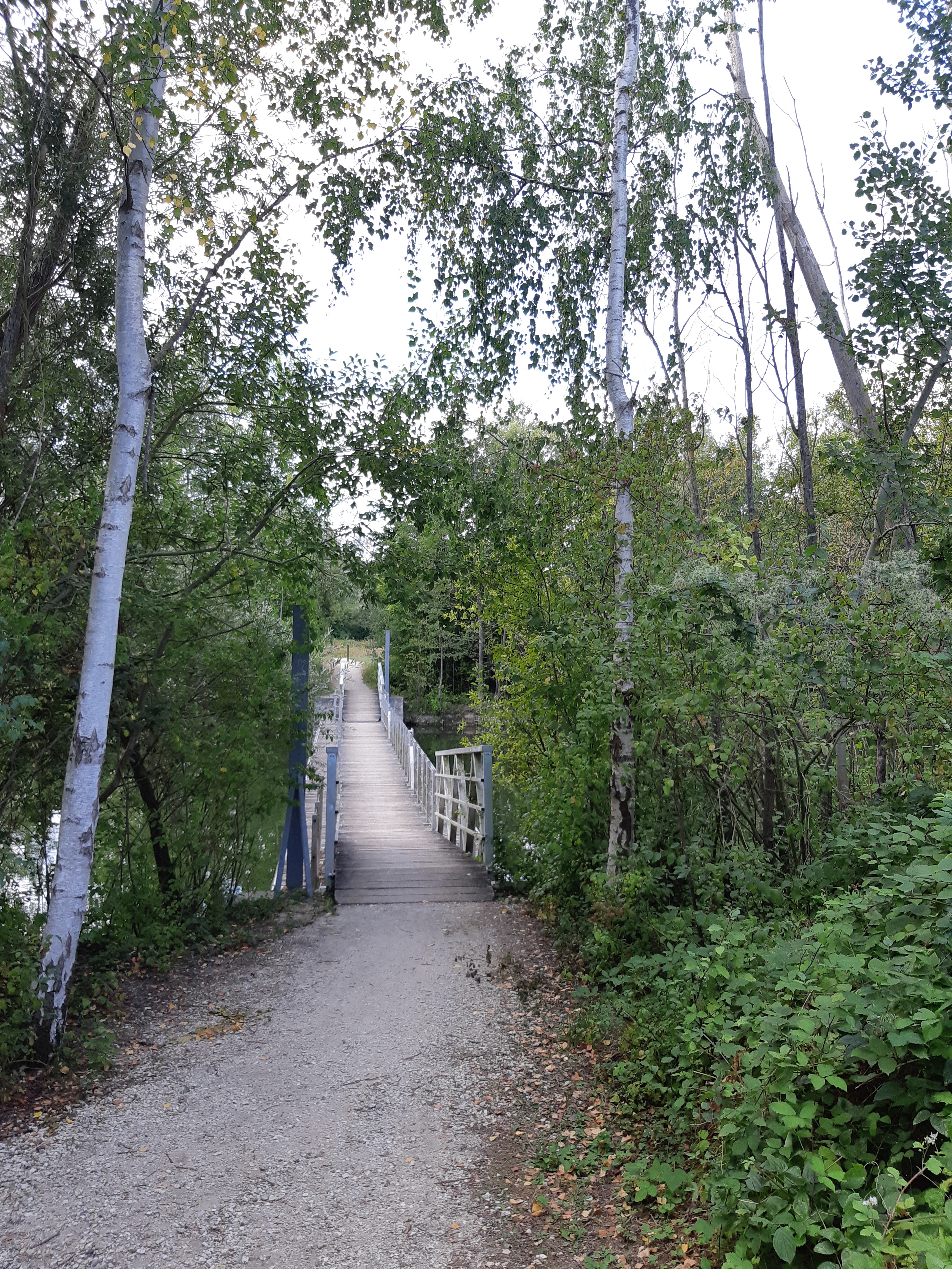 Photo n° 31 de l'avis de Tina.. fait le 08/09/2019 à 11:30