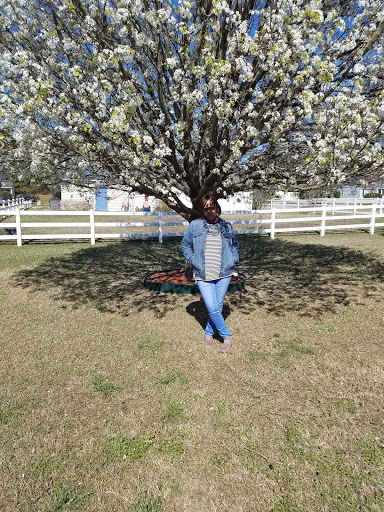 Performing Arts Theater «North Carolina Wesleyan College Dunn Center», reviews and photos, 3400 N Wesleyan Blvd, Rocky Mount, NC 27804, USA