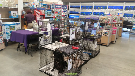 PetSmart