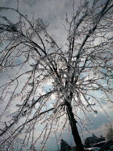 Department Store «Walmart Supercenter», reviews and photos, 3271 PA-940, Mt Pocono, PA 18344, USA