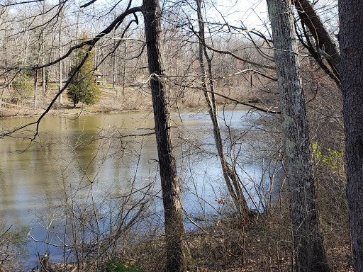 State Park «Natchez Trace State Park», reviews and photos, 24845 Natchez Trace Rd, Wildersville, TN 38388, USA