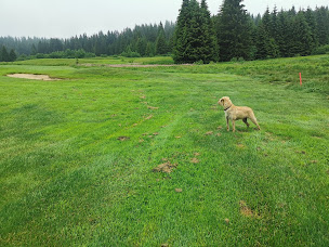 Photo n°82 de Golf d'Avoriaz - Morzine à Morzine ()