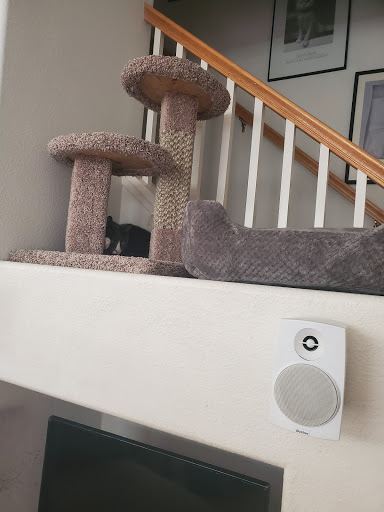 Department Store «HomeGoods», reviews and photos, 13644D Poway Rd, Poway, CA 92064, USA