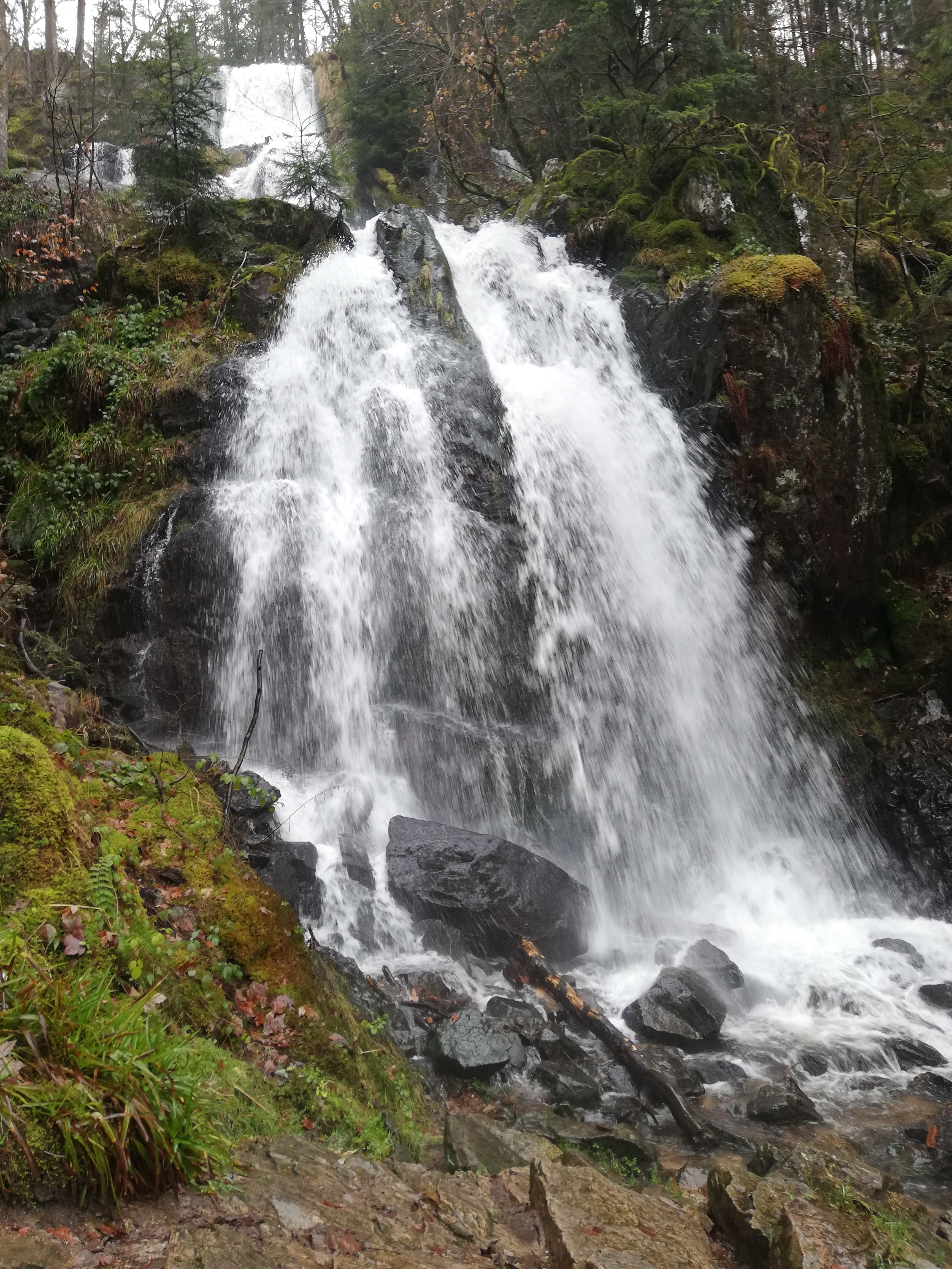 Photo n° 1 de l'avis de Mathieu.� fait le 29/12/2019 à 13:12