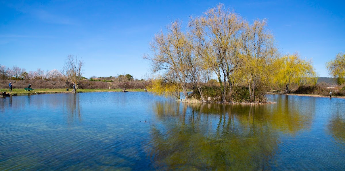 L'Etang des Saules à Aix-en-Provence