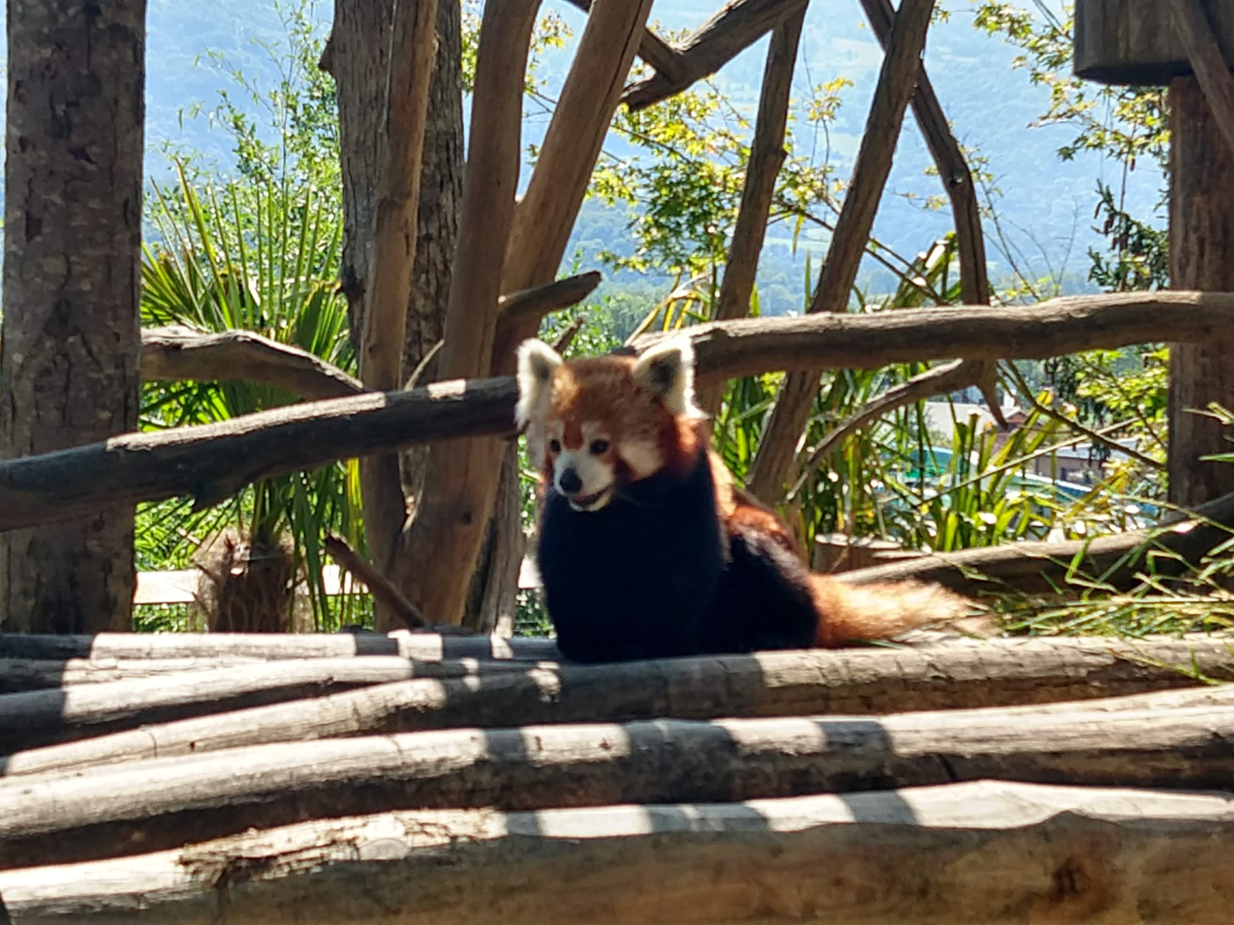 Photo n° 6 de l'avis de Mp. fait le 14/08/2018 à 10:17